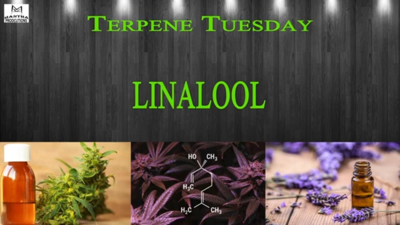Linalool | Terpene Tuesday