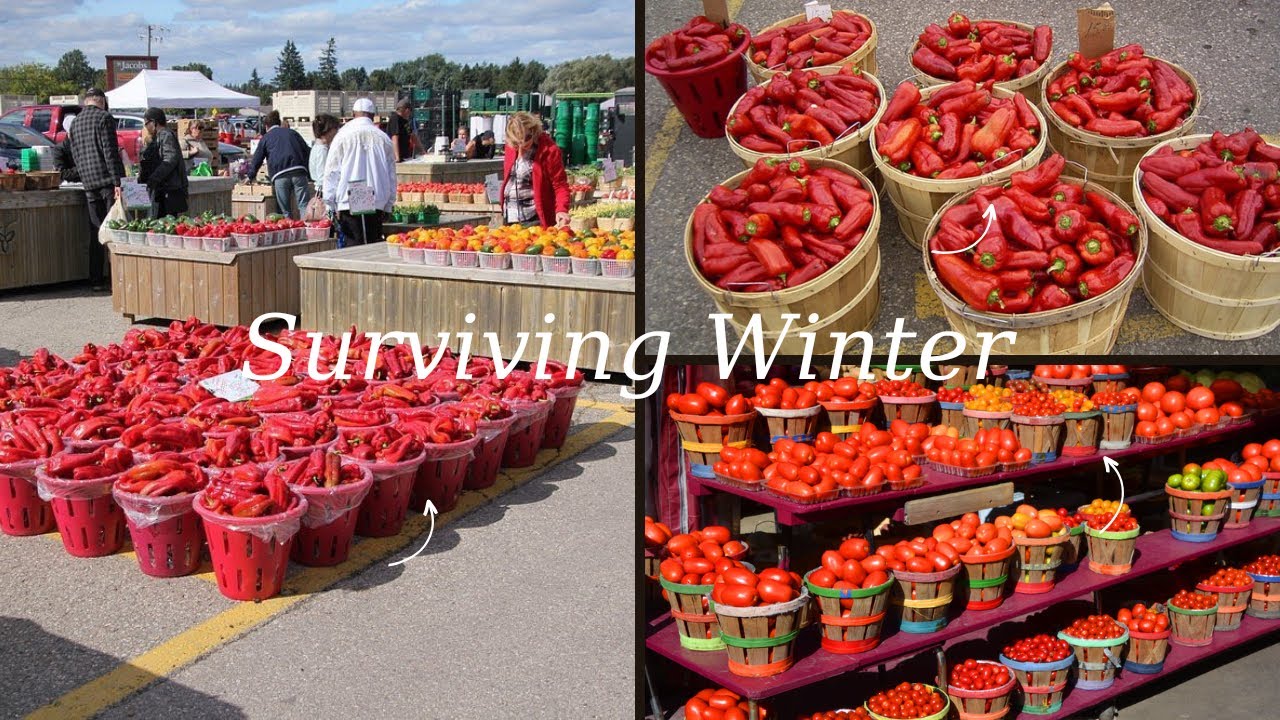 Ontario Living Vlog 🇨🇦 | Preparing for winter | Pepper season is upon us
