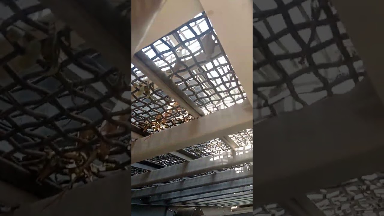 Check Screen wiremess and shaft #@Shors#@MetsoOutotec #shorts#circular vibrating screen