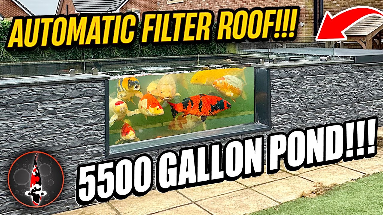 5500 GALLON POND! AUTOMATIC ROOF!! **RE-VISIT**