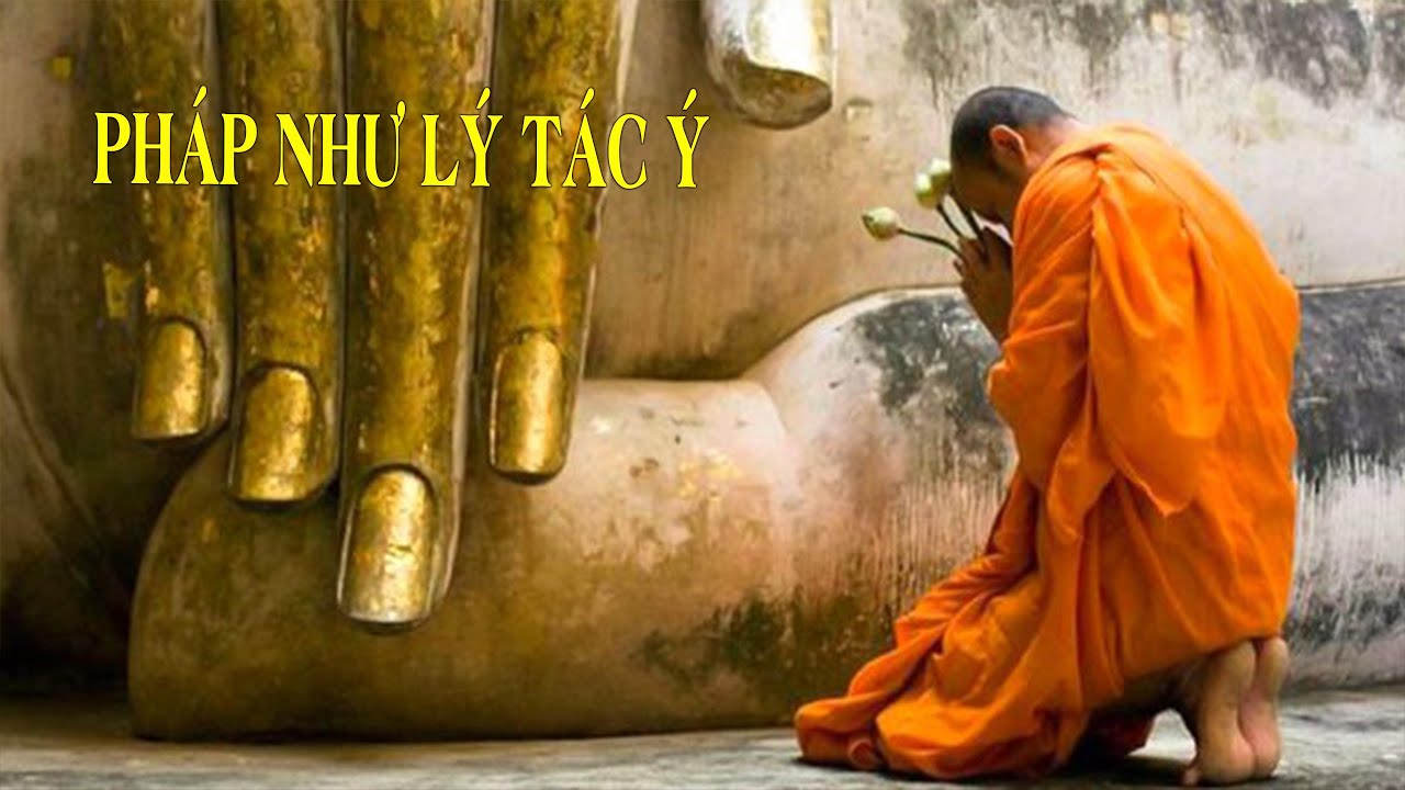 PHÁP NHƯ LÝ TÁC Ý