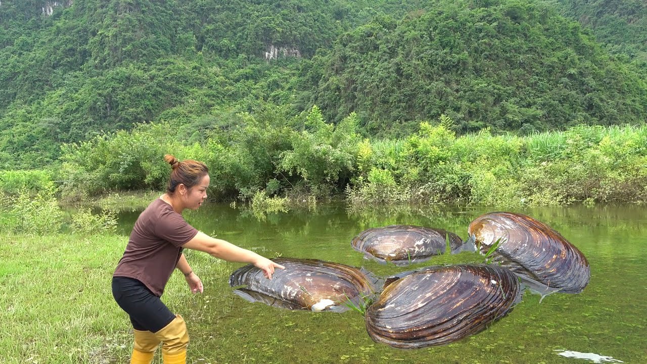 😱Exciting discovery: The girl discovered a huge golden egg while fishing for pearl mussels