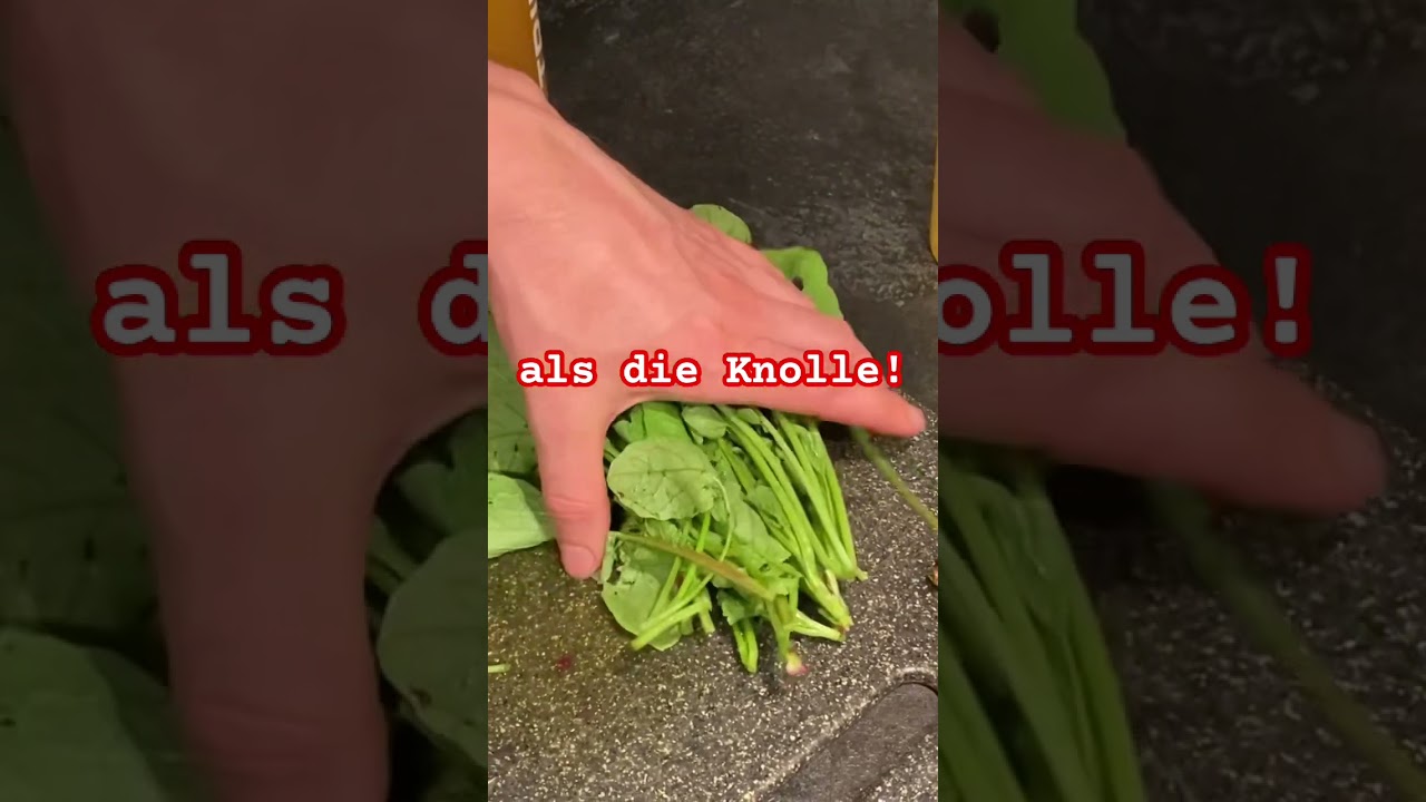Radieschen Bl&auml;tter sind gesund!