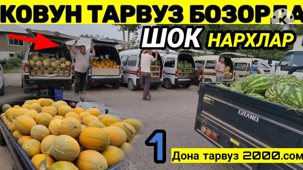 22-iyun, 2025 ковун тарвуз нархлари наманган чиганок бозори