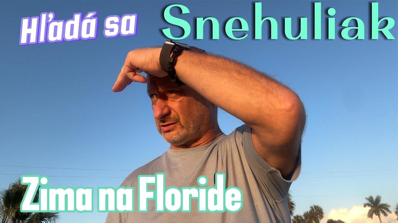 Snehuliaka som na Floride nenašiel...