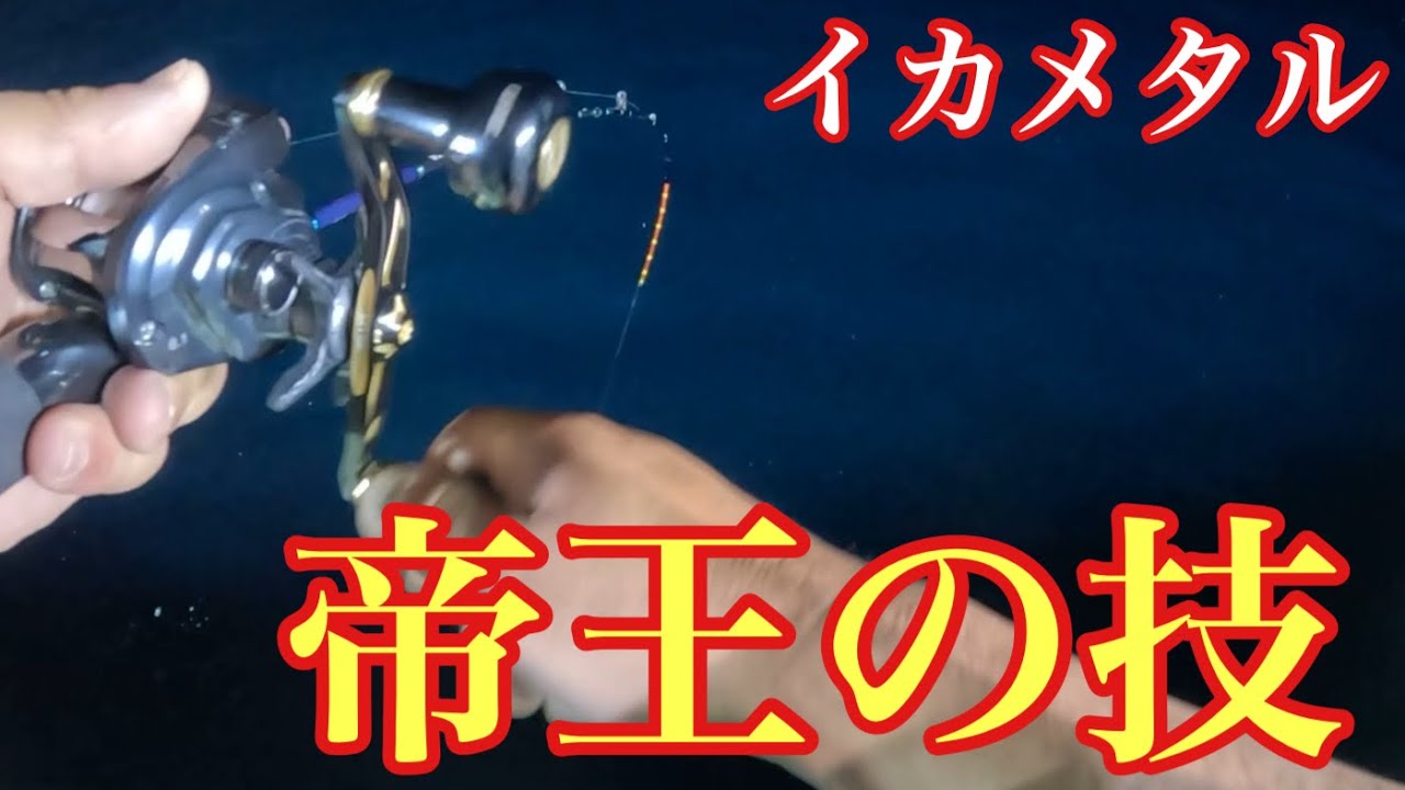 入れ喰い注意⁉︎イカメタルは◯◯◯誘うと大漁を味わえます！【イカメタル&オモリグ】