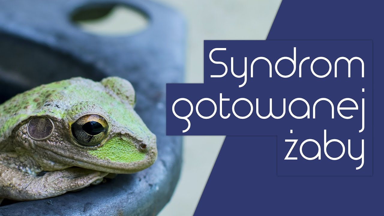 Kiedy wyskoczyć z garnka, czyli syndrom gotowanej żaby | Modele mentalne #2