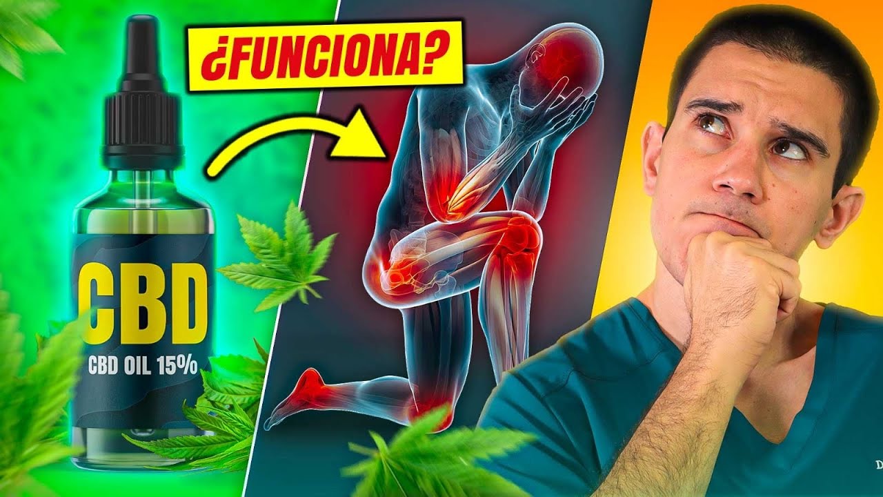 CBD, THC y CANNABINOIDES: &iquest;PUEDEN ALIVIAR el DOLOR CR&Oacute;NICO?