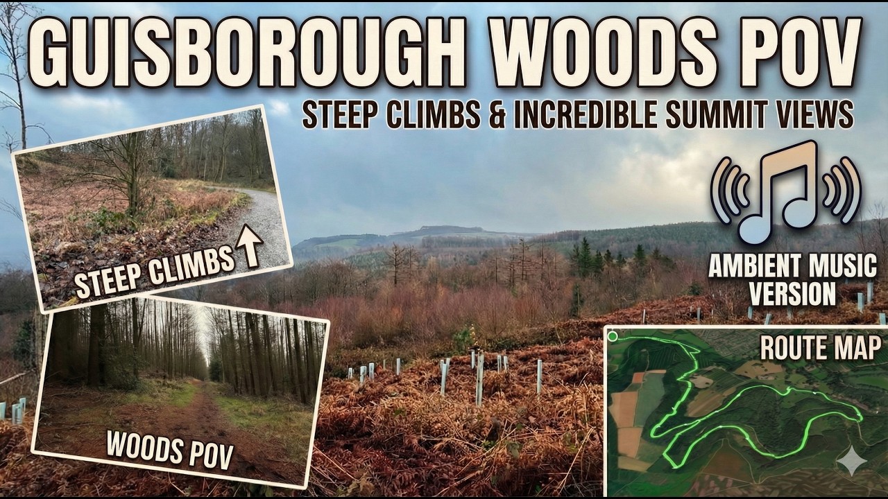 Guisborough Woods & Highcliff Nab | Ambient POV Walk