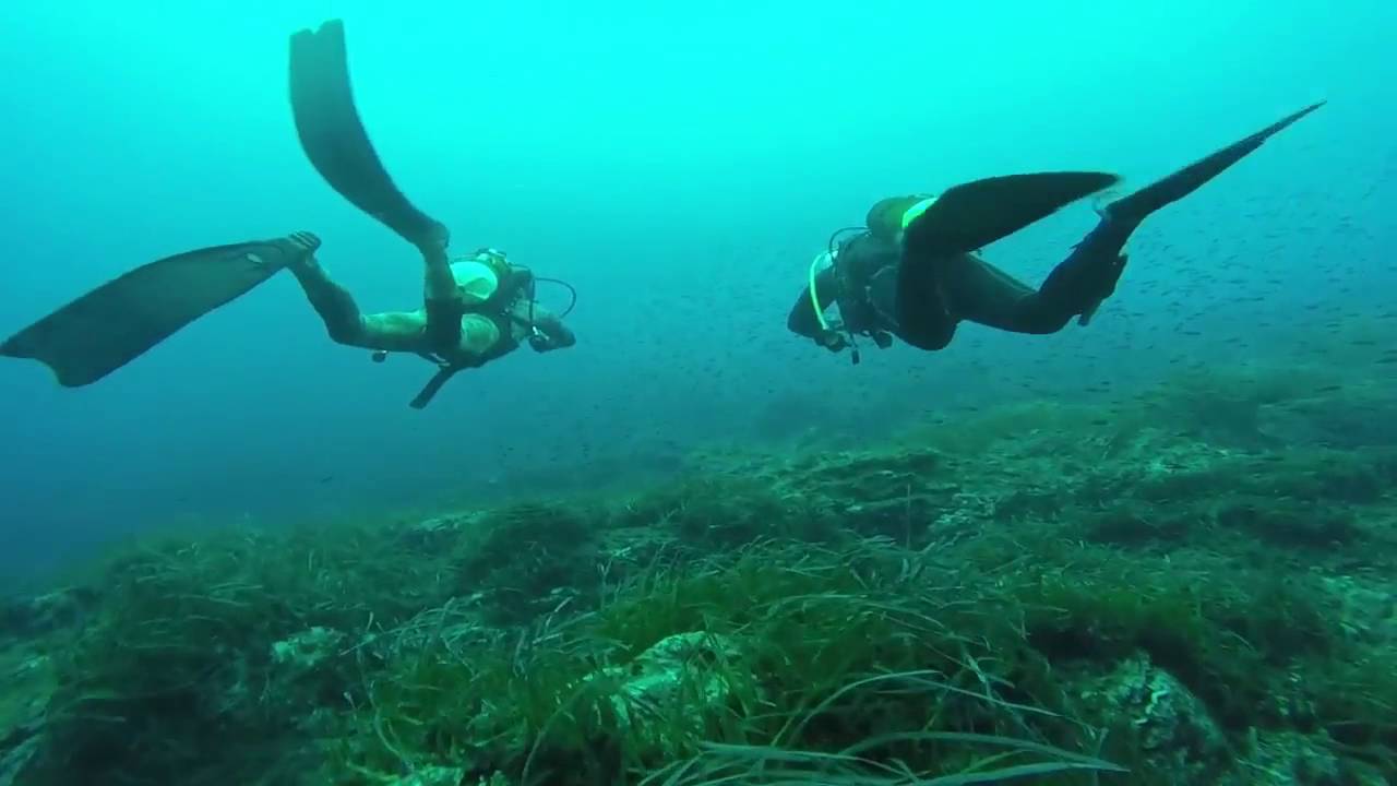 Green Divers - Immersioni a Pantelleria