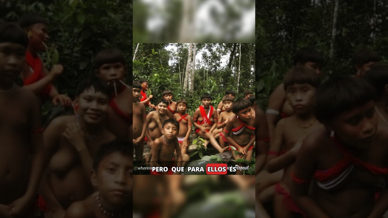 Canibalismo ritual Yanomami 😬​: el acto de amor que pocos conocen