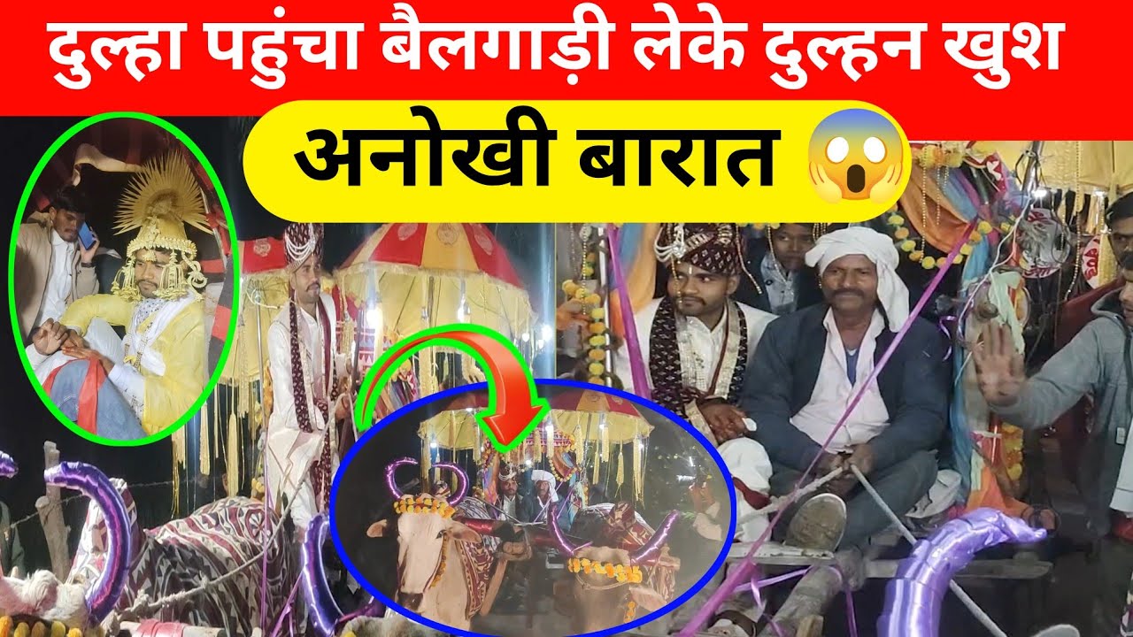 बैलगाड़ी से पहुंचा दुल्हा अपनी दुल्हनिया लेने!! लड़की पक्ष ख़ुशी से झुमा उठा,...