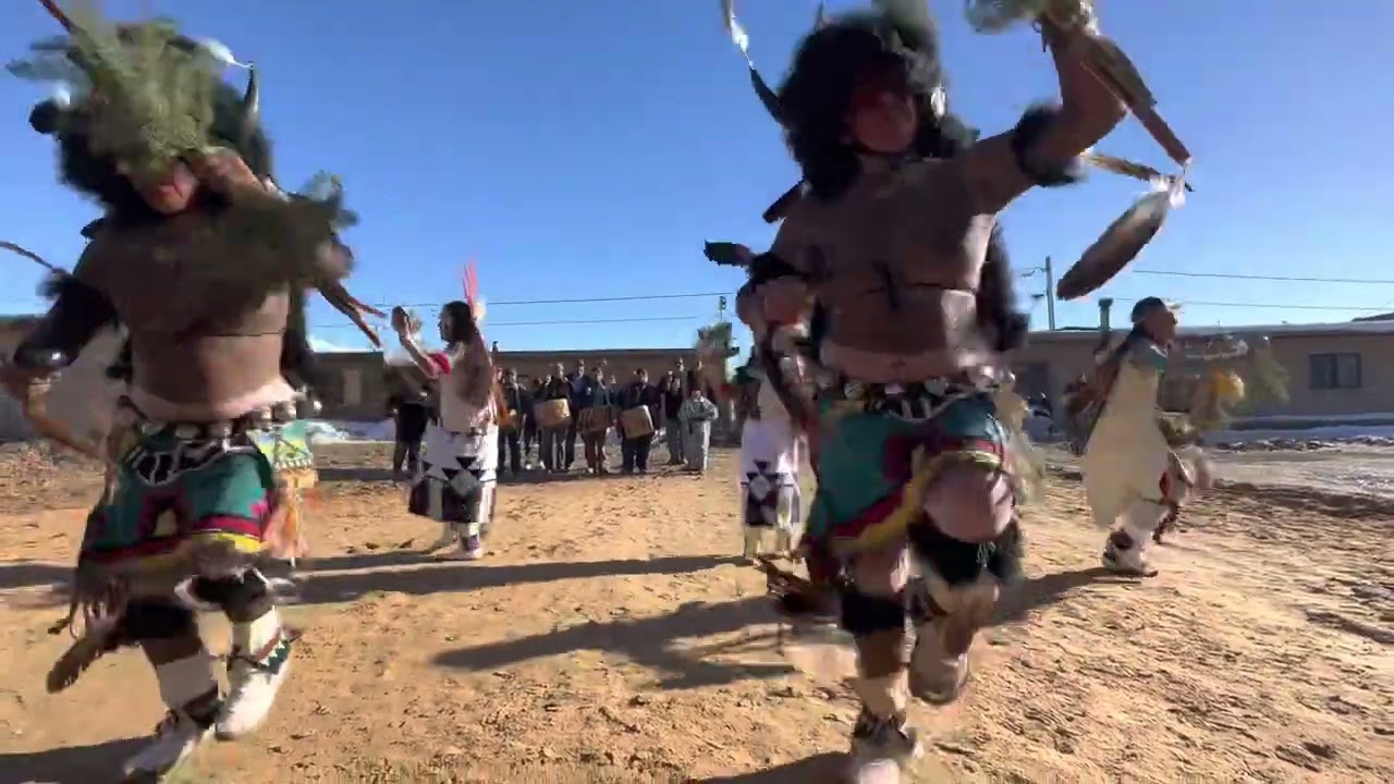 bacavi hopi buffalos 2023. 4