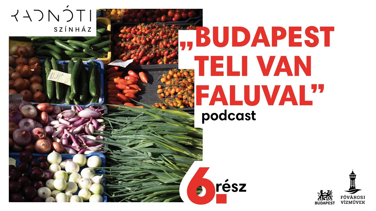 Saly Noémi - Mit tegyen a város, ha süket a hatalom?