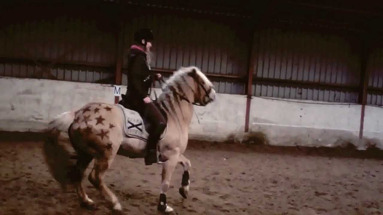 ~ He's bulletproof, nothing to lose ♥