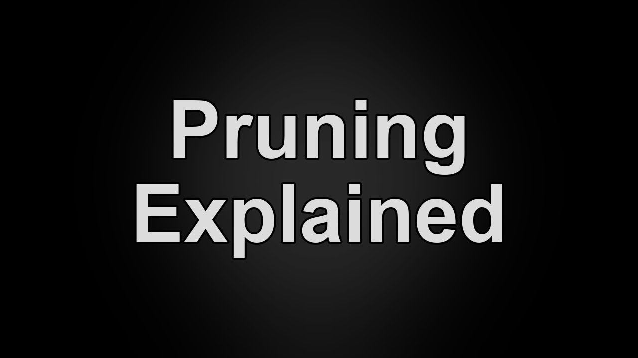 Pruning in Neural Networks Explained in 60 Seconds | What is Pruning?