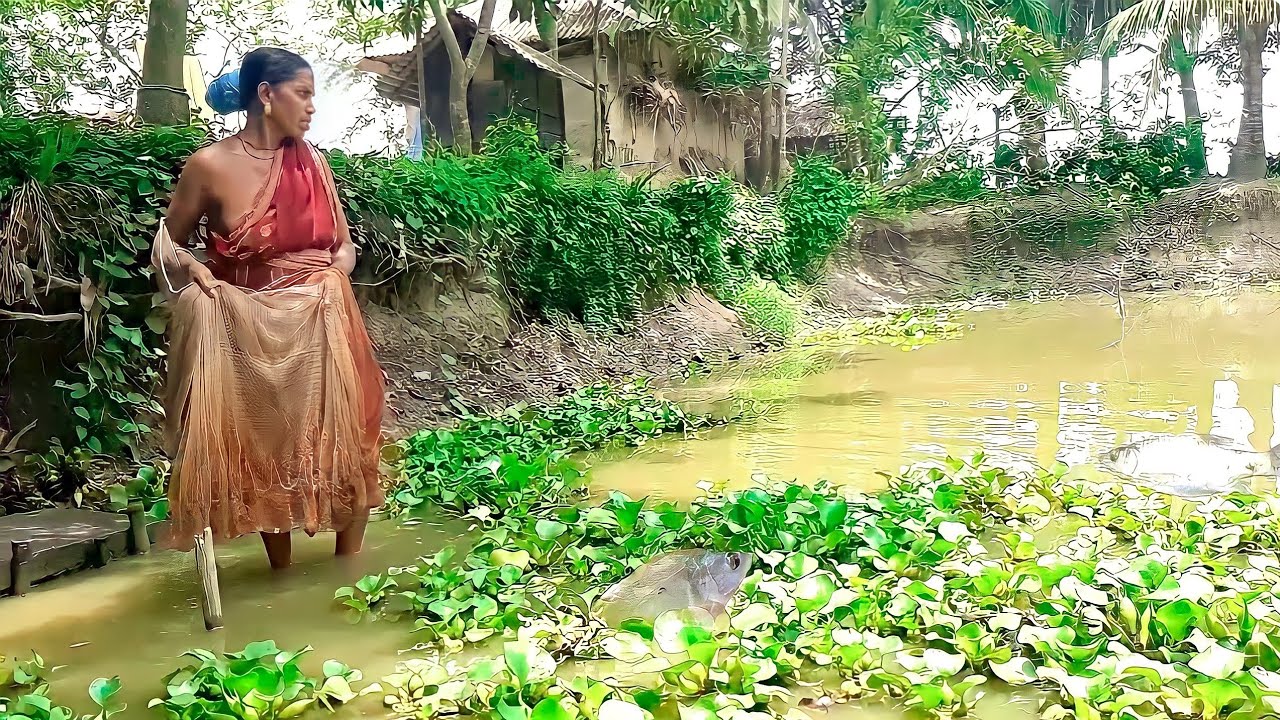 Traditional Net Fishing Siklls.. A Village Fishing women  Catch Fishing  With Net..