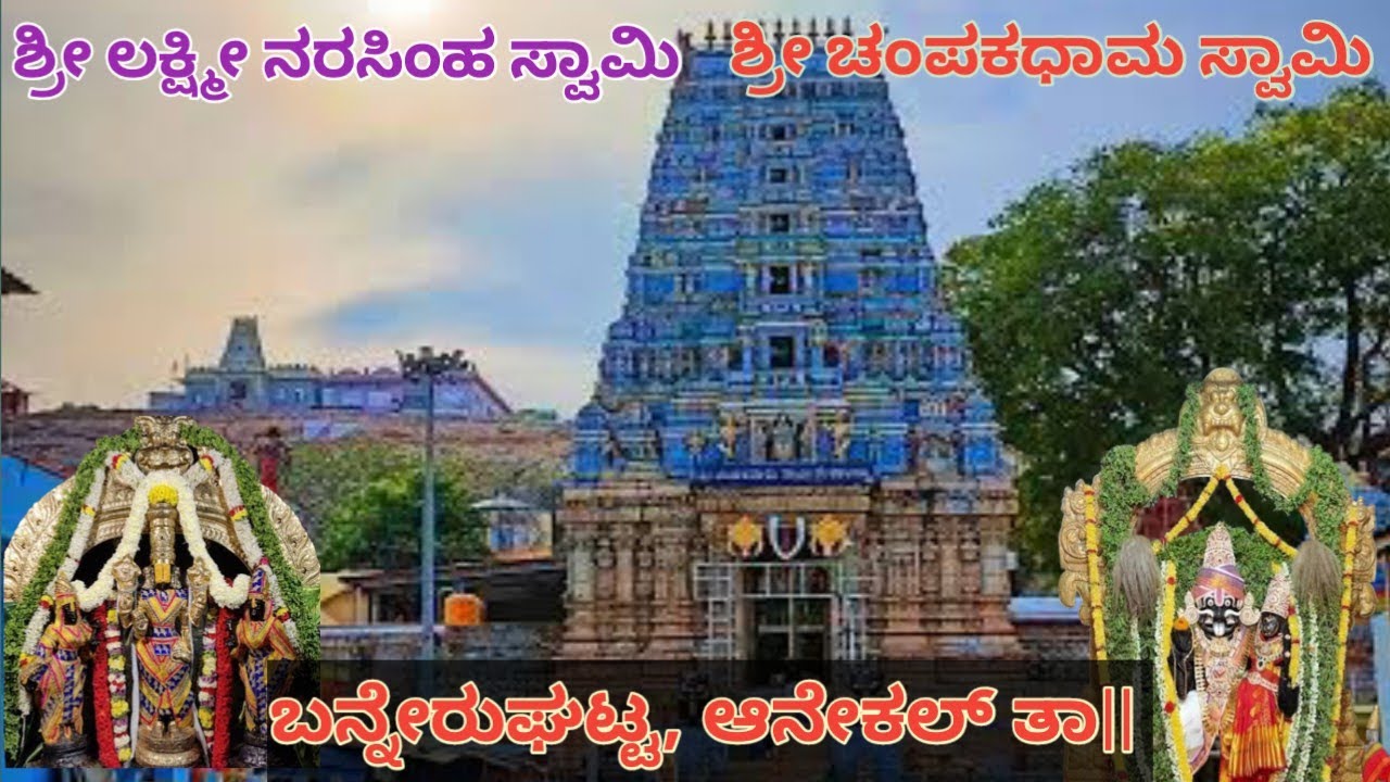 V1 ||ಬನ್ನೇರುಘಟ್ಟ||ಐತಿಹಾಸಿಕ ಚಂಪಕಧಾಮ ಸ್ವಾಮಿ ಮತ್ತು ಬೆಟ್ಟದ ಲಕ್ಷ್ಮೀ ನರಸಿಂಹ ಸ್ವಾಮಿ ದೇವಾಲಯ ಮತ್ತು ಇತಿಹಾಸ 🙏🙏🌺