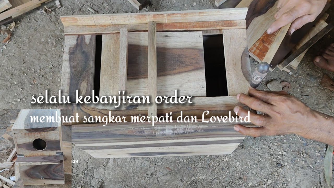 Pemanfaatan limbah kayu untuk kandang Lovebird 