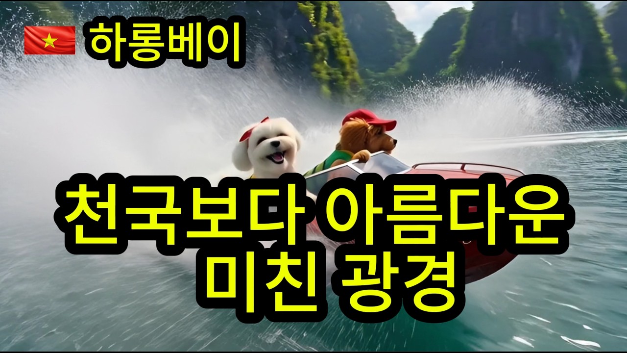 하롱베이가 천국보다 아름답다!!    #강아지  #cute  ( Two Puppies Traveling the World)