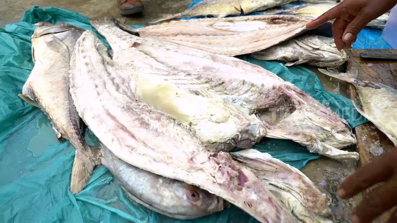 Yuk, Intip Cara Pembuatan Ikan Asin