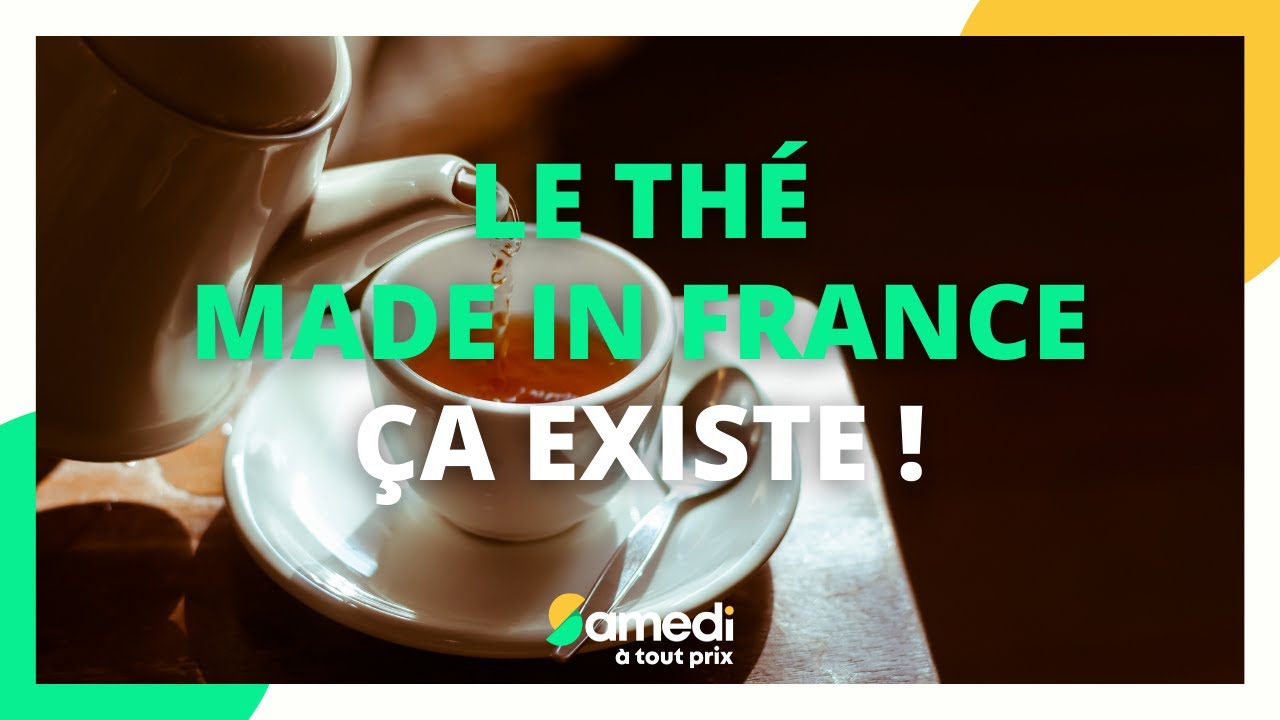 Le thé made in France, ça existe ! - Samedi à tout prix