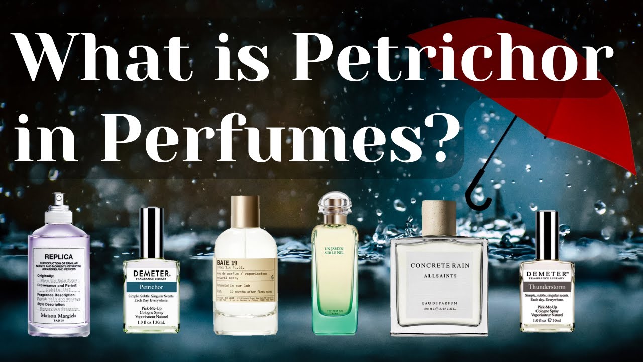 What Is Petrichor In Perfumes? Green Earthy After Rain Fragrances Geosmin Perfume Science Collection