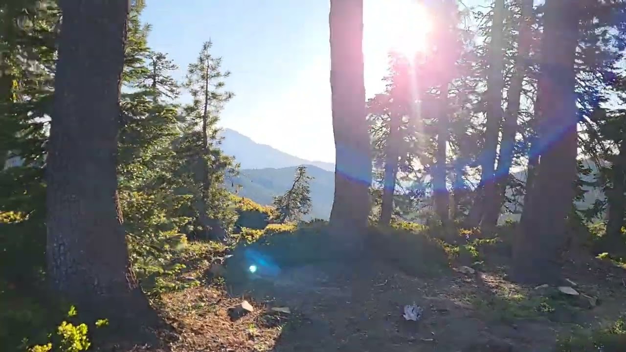 PCT 2025 Day 91. More of Shasta and my fastest day on trail. 36.1 miles