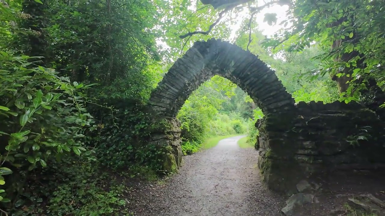 Touring in the Trees Caravan Sites - Parkanaur Forest Park Dungannon 25th July 2025