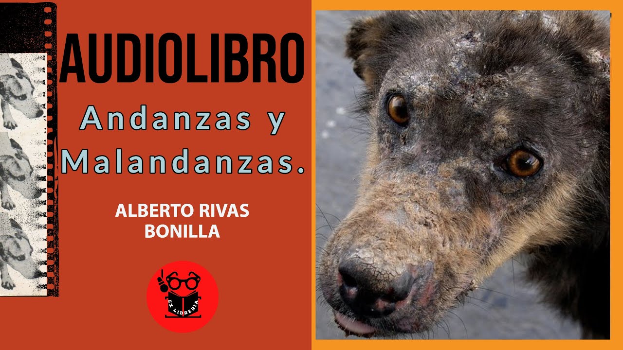 Audiolibro completo: Andanzas y Malandanzas de Alberto Rivas Bonilla.
