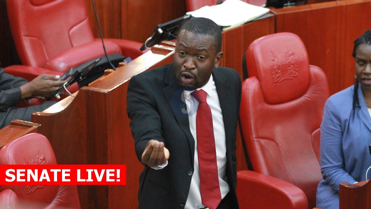 LIVE: Senate proceedings today Wednesday, 11th Feb 2026!