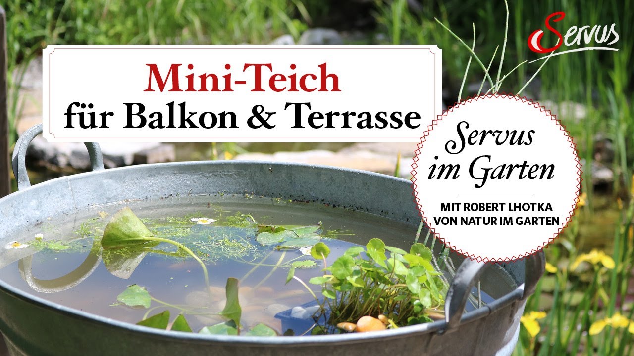 Miniteich für Balkon & Terrasse anlegen