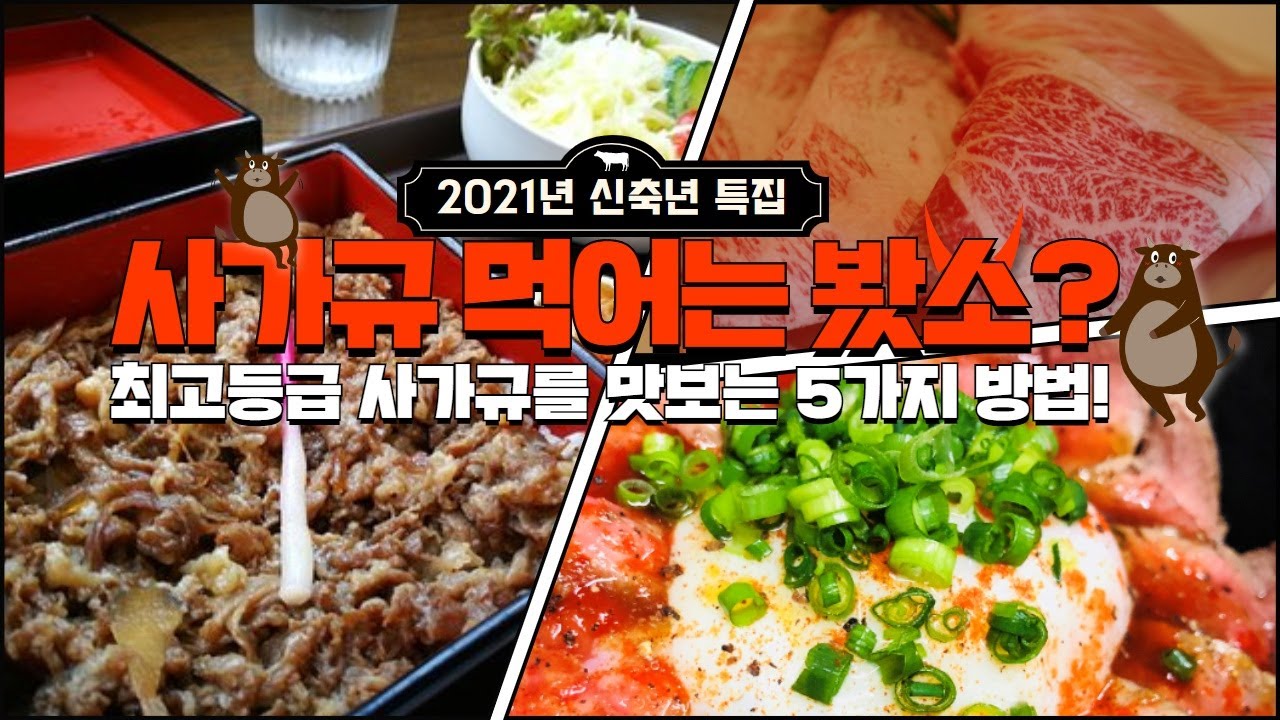 [JPN SUB]먹어는 봤소(牛)??? '사가규'로 만나는 미락로드 BEST 5 ＃스테이크 ＃스키야키 ＃규동 ＃샤브샤브 ＃에키벤