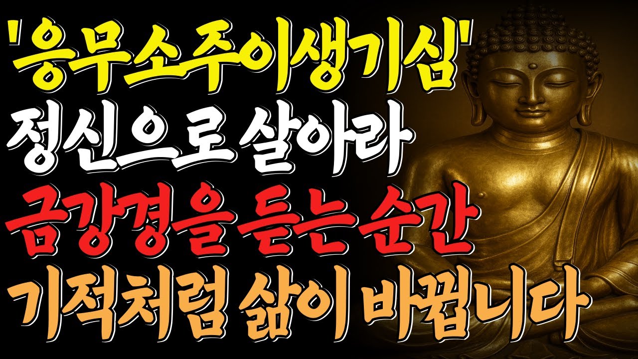 금강경 ‘응무소주 이생기심’ 정신으로 살아가라 | 불교지혜ㅣ불교명상ㅣ인생철학ㅣ오디오북