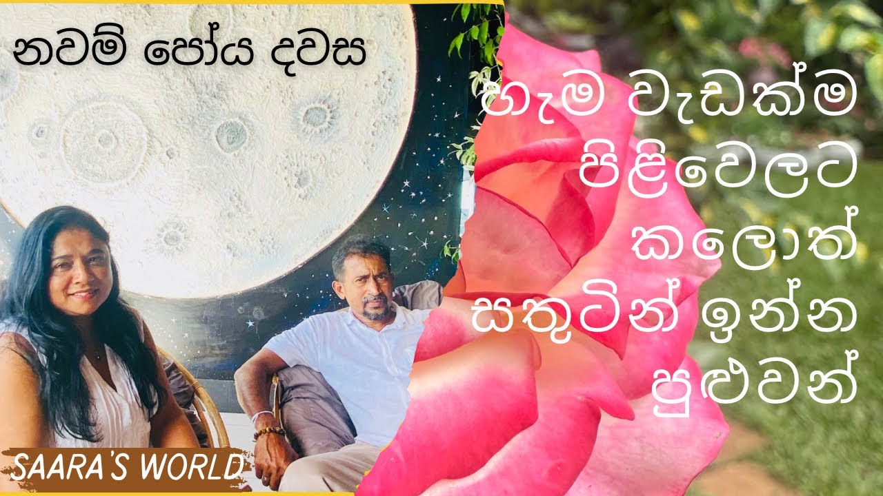 මල් පැල හදනකොට තමන්ට කැමති විදිහට පරිසරය හදාගන්න 🌷#gardendecor #flowers #lunch #poyaday 