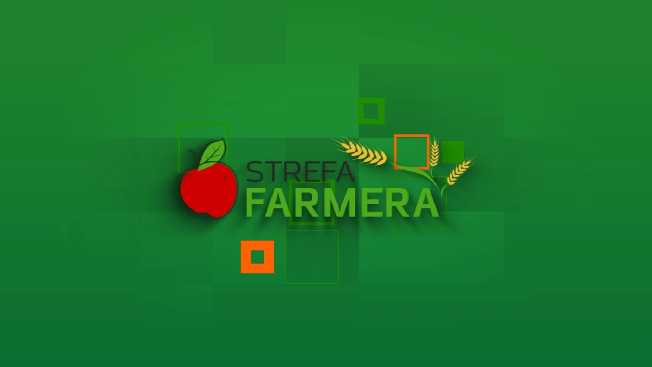 STREFA FARMERA: Sadzenie winorośli