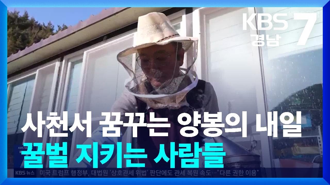 [현장속으로] 사천서 꿈꾸는 양봉의 내일…사라지는 꿀벌 지키는 사람들 / KBS  2026.02.23.