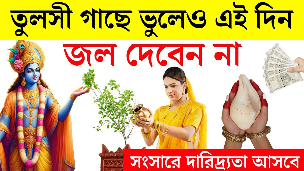 তুলসী গাছে জল দেওয়ার নিয়ম || Tulsi Plant Care Tips ||  তুলসী গাছে ভুলেও জল দেবেন না এই দিনে