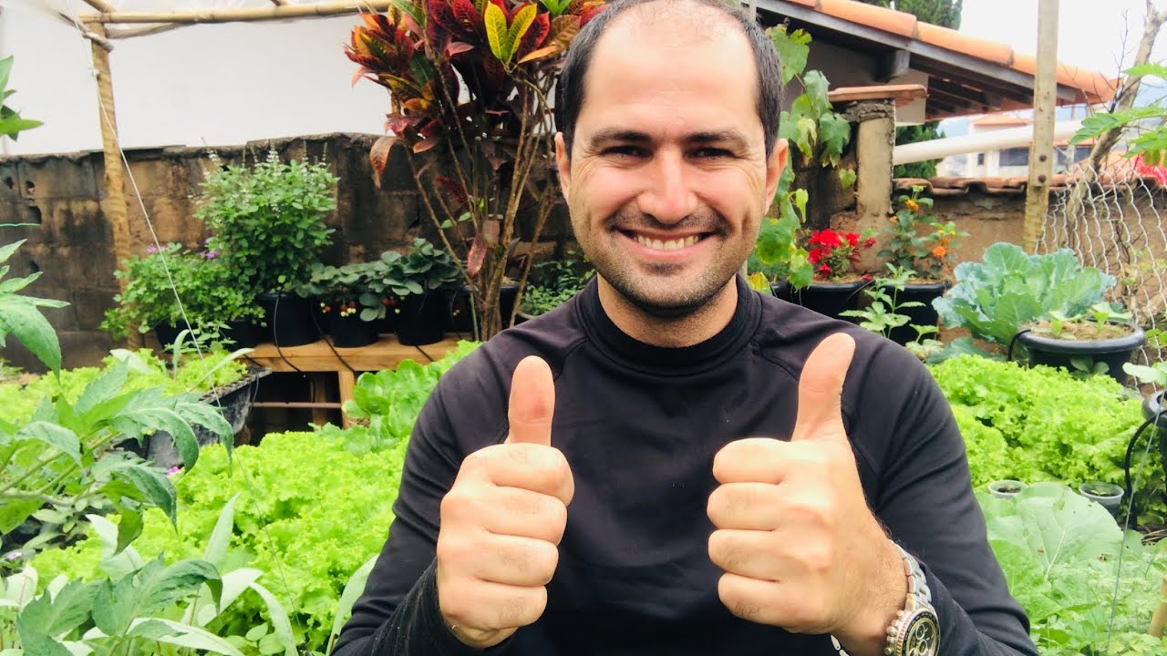 AMPLIAÇÃO DA HORTA E UM TOUR PRA CONHECER MINHAS PLANTAS