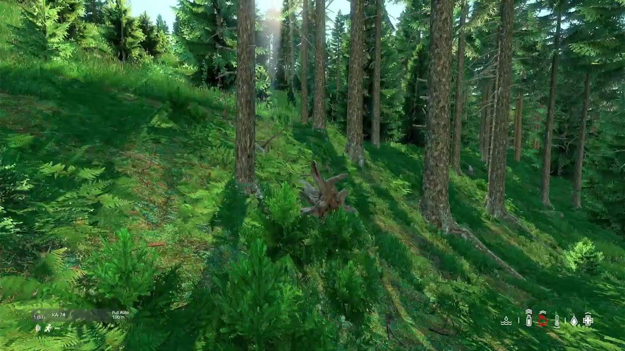 KARMAKREW LIVONIA SOLO [DAYZ]