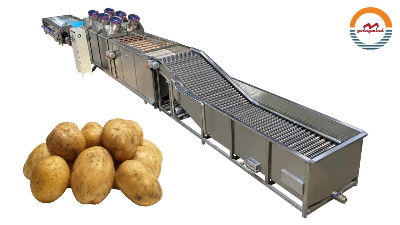 Automatic Potato Washing Drying and Grading Machine Industrial Sweet Potatoes Cleaning, Sorting Line