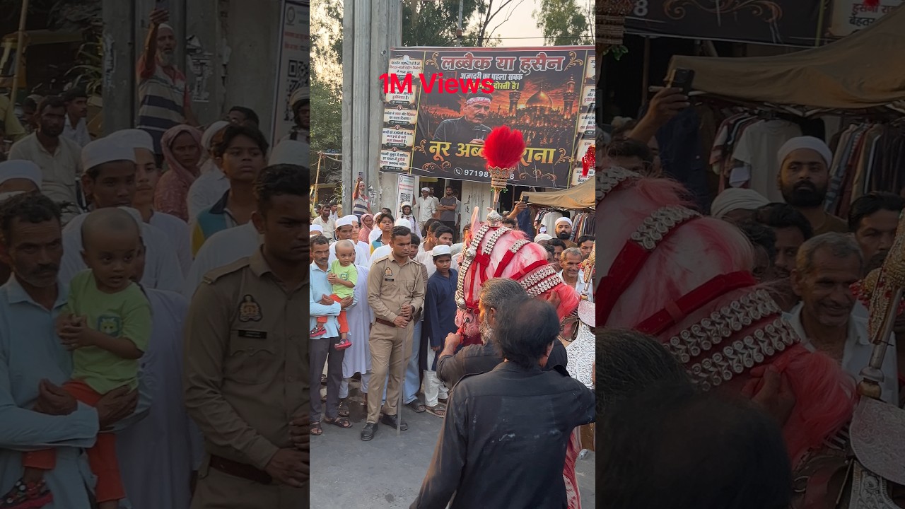 8Muharram Mola Abbas a.s#video​​​#zuljana​​​#imamhussain​​​ #yahussain​​​#karbala​​​#muharram