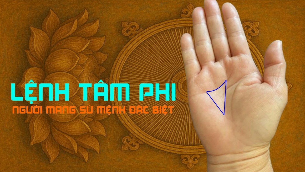 Командир Там Фи — тот, у кого особая миссия.