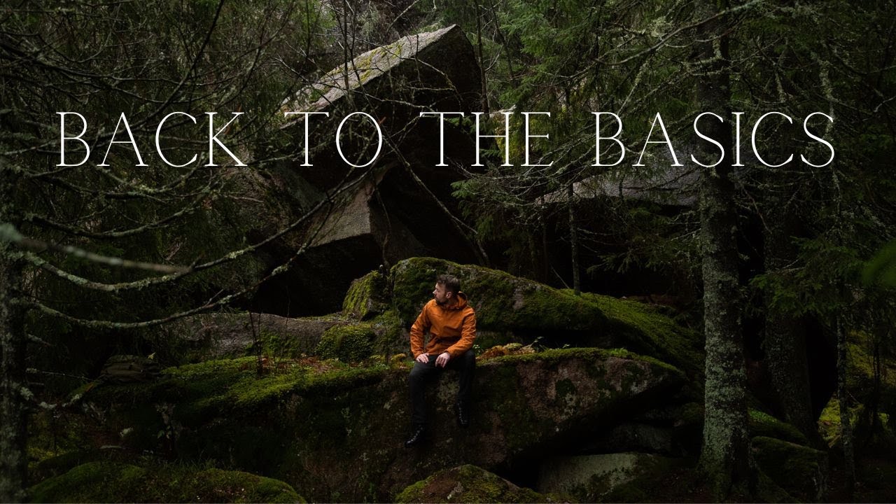Back to the Basics || A Wander through the Forest