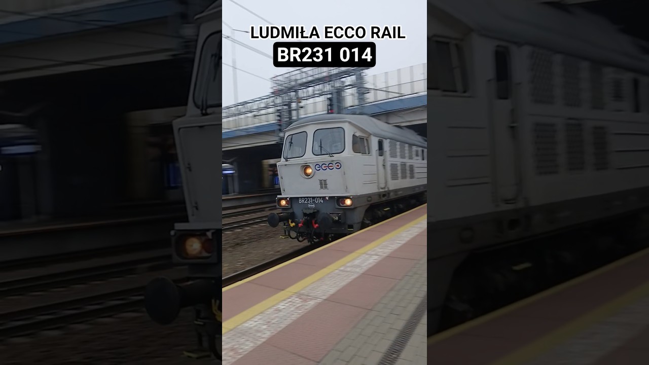 LUDMIŁA ECCO RAIL br231 014