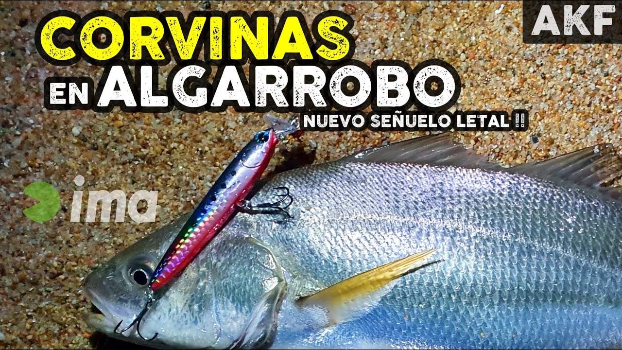 CORVINAS en Algarrobo + Testeo señuelo letal que NO conoces!  |  Pescando en el litoral central