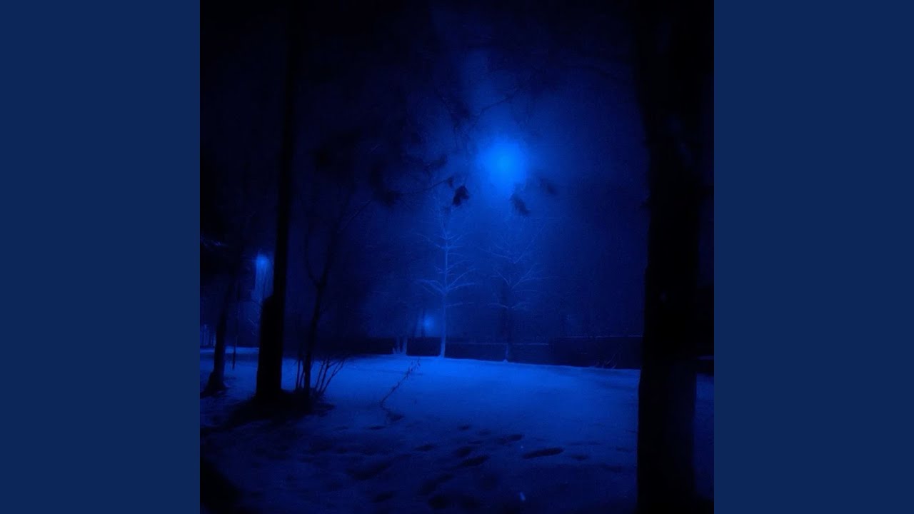 wildflower (instrumental slowed & reverb with rain)