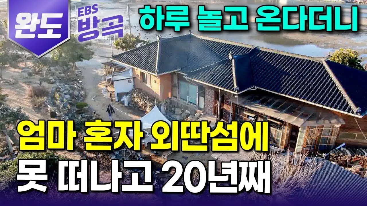 [전남 완도] 