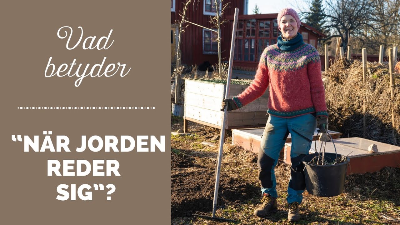 Vad betyder 
