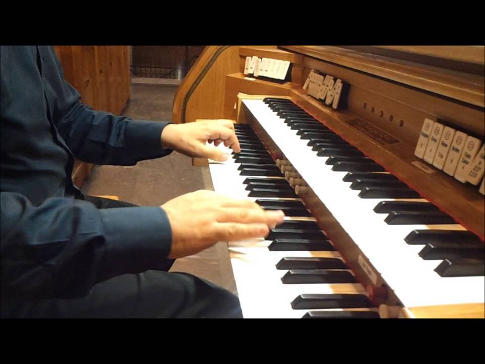 Johann Heinrich Buttstett: Praeludium & Capriccio in d minor (Marco Lo Muscio)